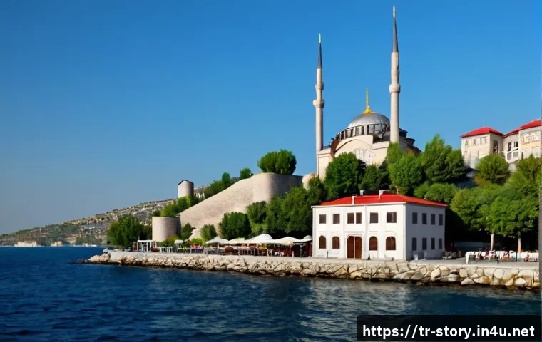 Storytelling Kariyerine Hazırlık: Sertifika, Portföy ve Eğitim Seçim Rehberi 4 스토리텔러 자격증과 관련된 준비 과정과 성공 전략 분석과 연구 관련 이미지 2